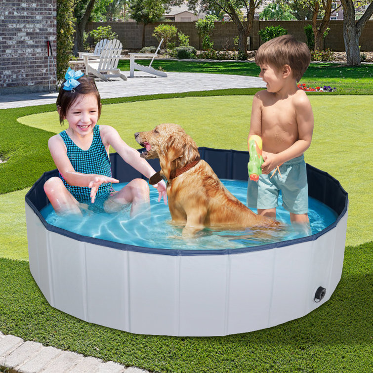 kiddie pool for puppies